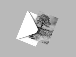 To buy a print or any of the below please click on the images